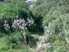 sifnos_n5